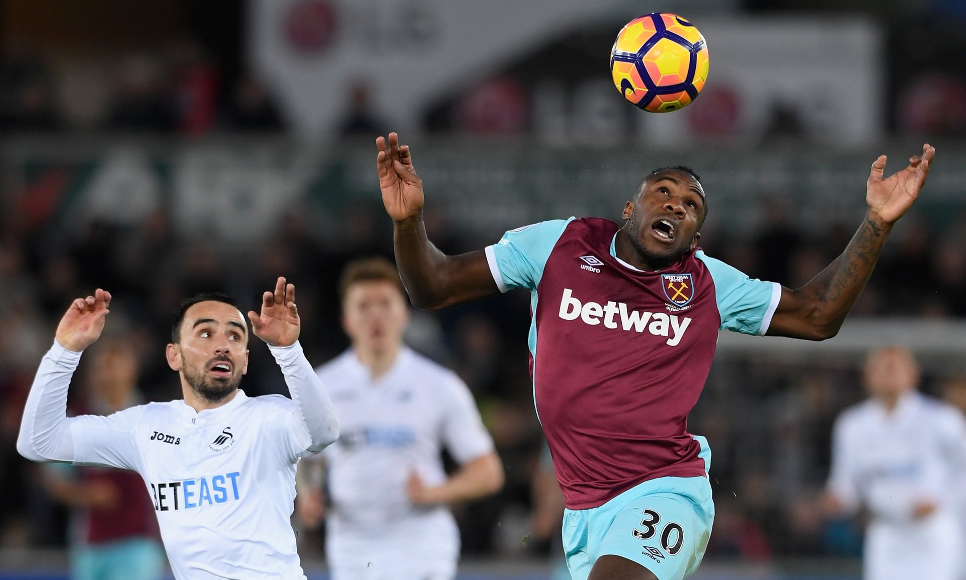 科隆博的兴 科隆博的兴